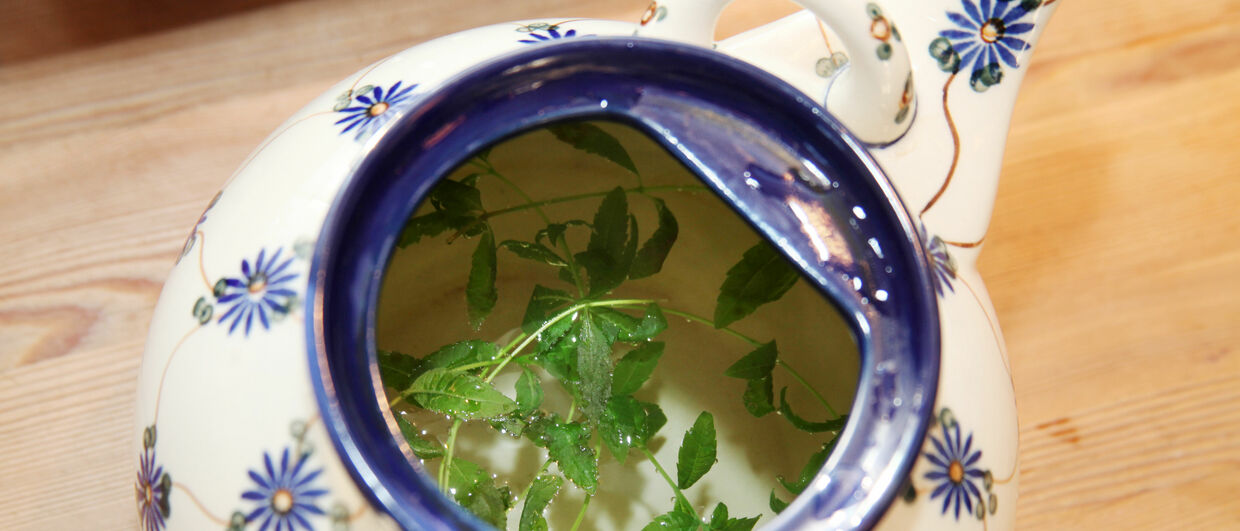 Auch ein Fastenbegleiter in Pernegg: Zitronenverbene-Tee