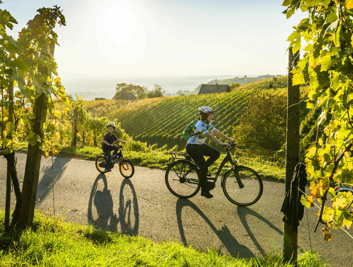 Cyklistický region Bad Radkersburg v prázdninovém regionu Thermen- und Vulkanland