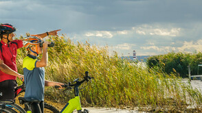 Radfahren im Nationalpark Neusiedler See
