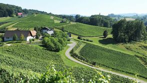 Weingut Lackner-Tinnacher