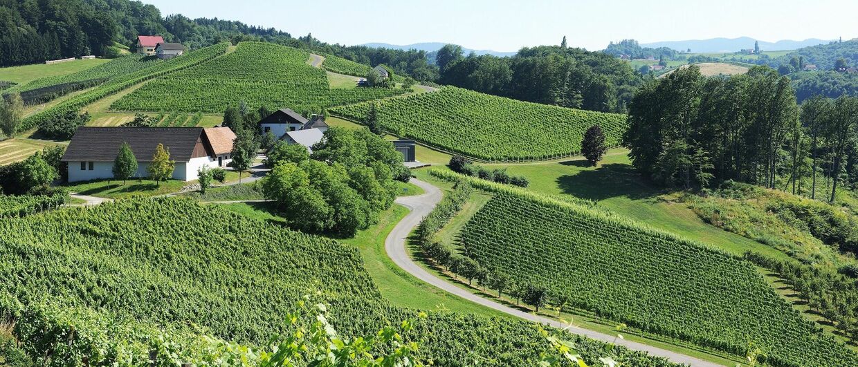 Weingut Lackner-Tinnacher
