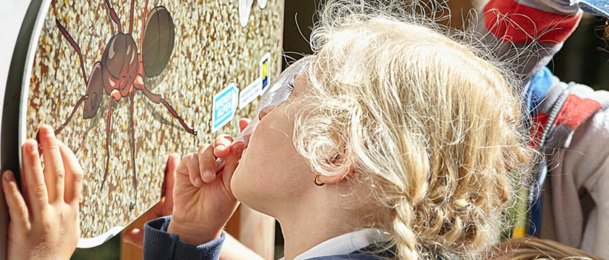 Rätselabenteuer am Ameisenpfad in der Famillienarena St. Corona
