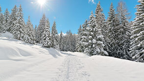 Paysage d'hiver