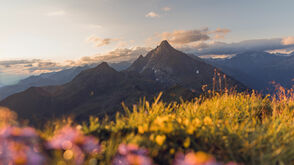 Čistá příroda v regionu Zillertal