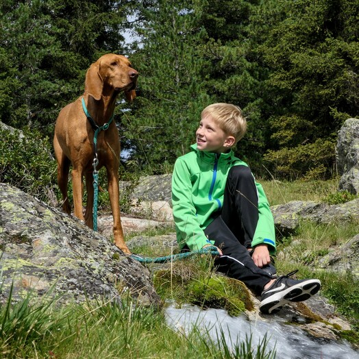 Wandern mit Hund