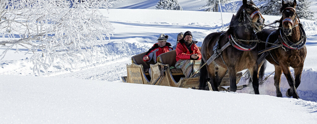 Calèche à chevaux Hochhaederich-Bregenzerwald (c) Bregenzerwald-Tourismus_Adolf-Bereuter
