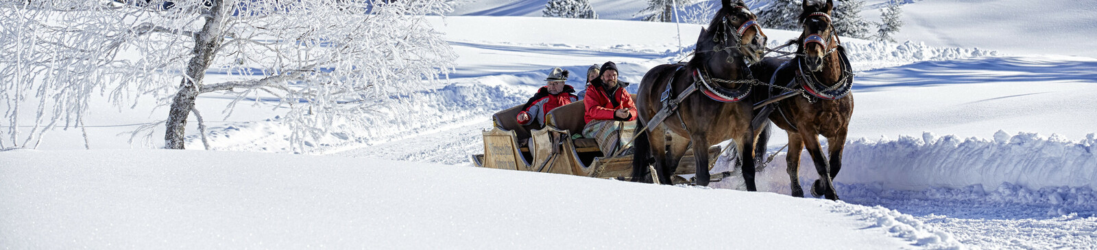 Calèche à chevaux Hochhaederich-Bregenzerwald (c) Bregenzerwald-Tourismus_Adolf-Bereuter