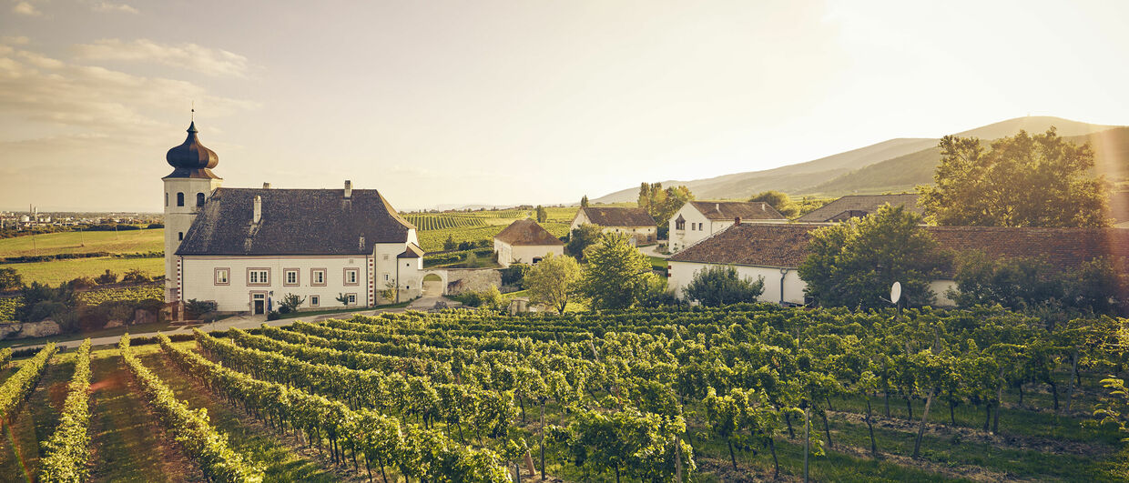 tradiční vinařství Freigut Thallern