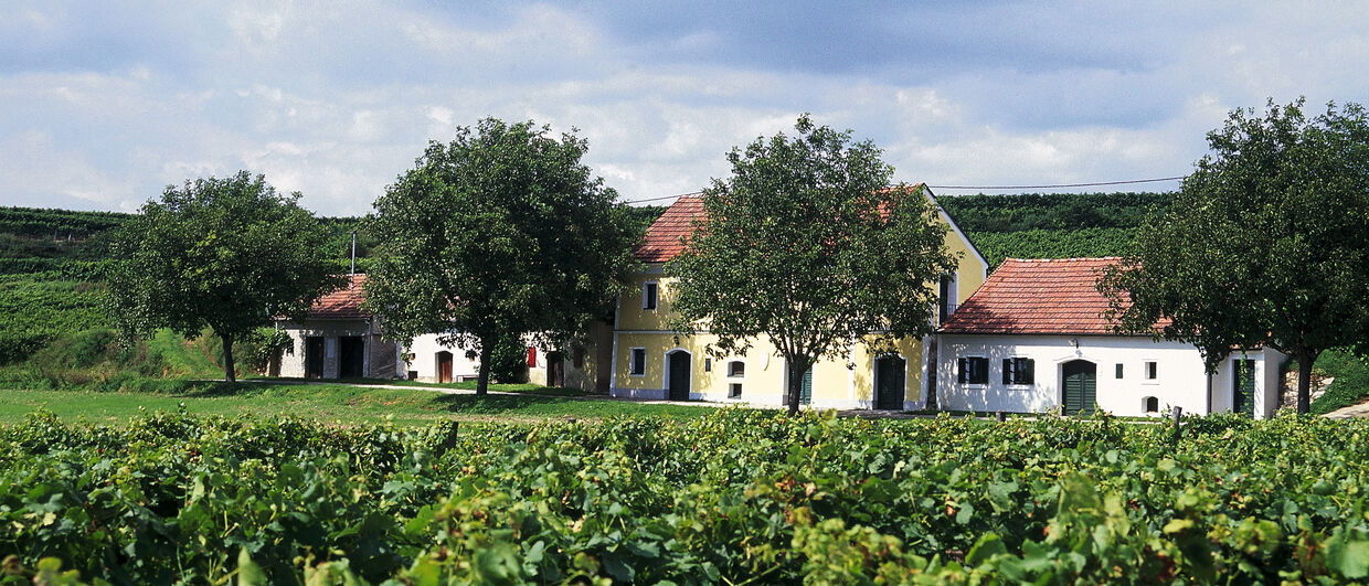 Wine Cellars near Fels am Wagram (Lower Austria)