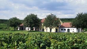 Wine Cellars near Fels am Wagram (Lower Austria)