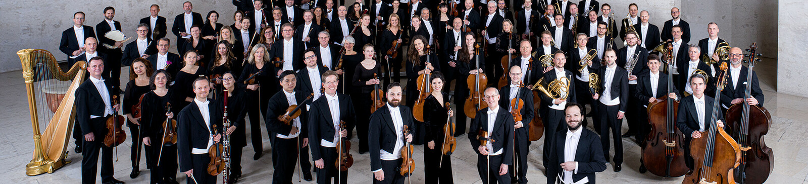 Wiener Symphoniker Orchester(c) Peter Rigaud.jpg