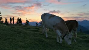 Sonnenaufgangswanderung auf das Kragenjoch in der Wildschönau in Tirol