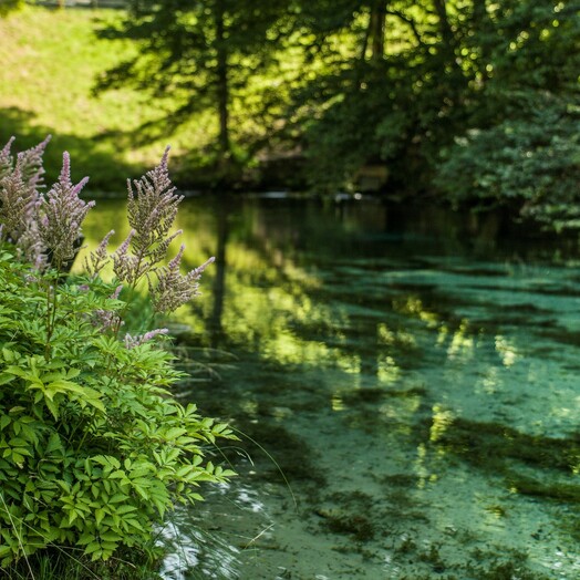  Die "Blaue Quelle" in Erl im Kufsteinerland in Tirol