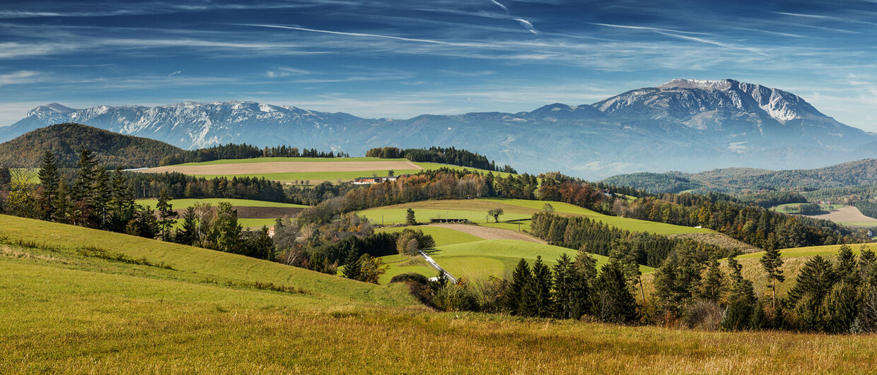 Панорама на Венские Альпы