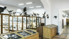 Naturhistorisches Museum im Stift Admont