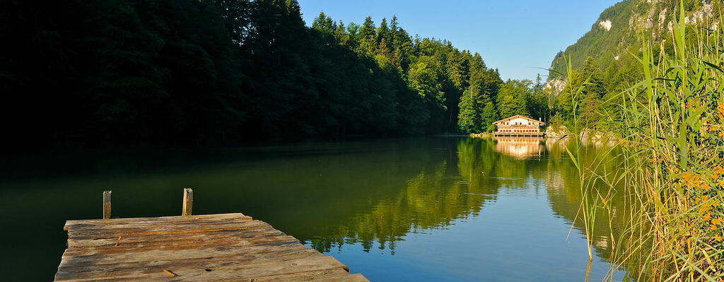 Etang de Breitenbach