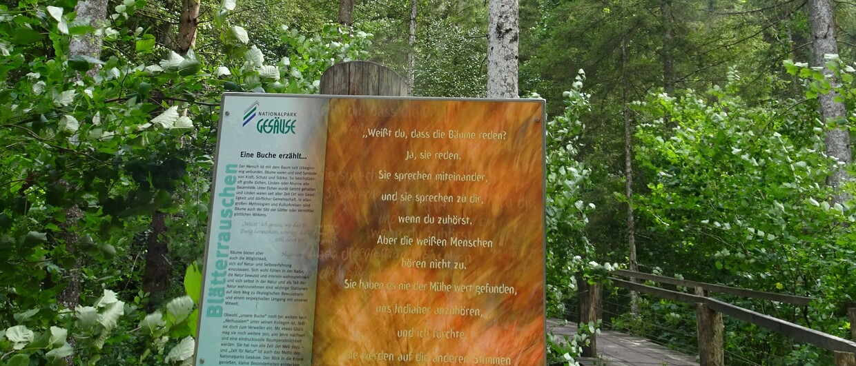 Nationalpark Gesäuse