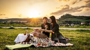 Das „Picknick im Weinviertel“-Service wird von April bis Oktober angeboten