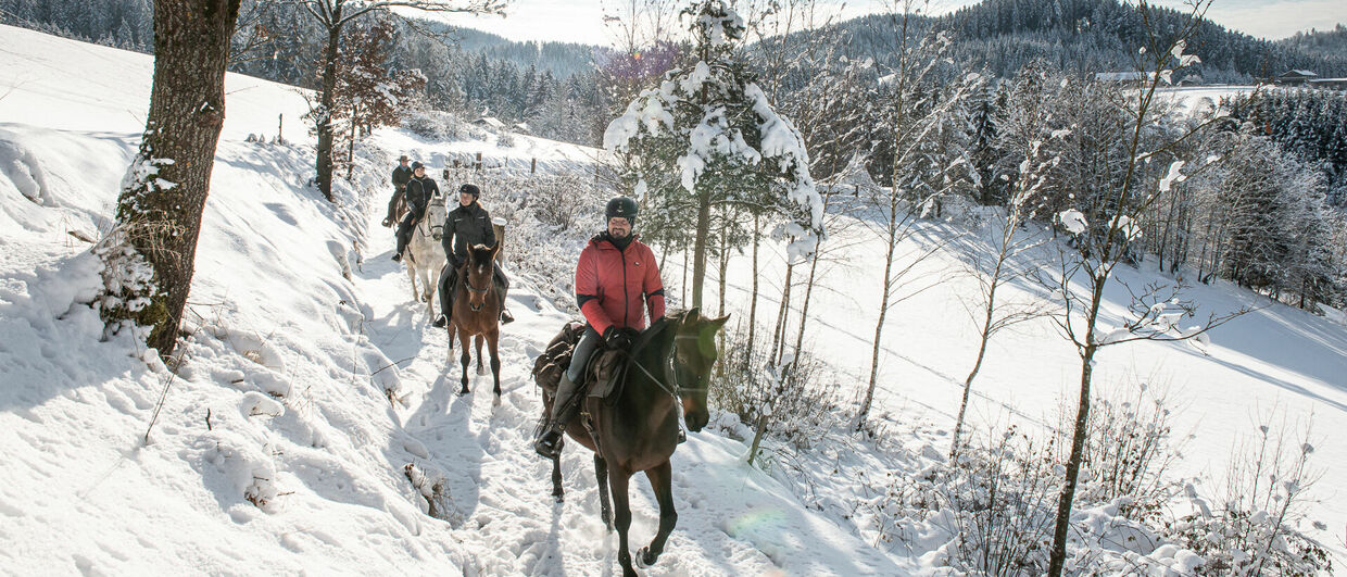 Wanderreiten im Pferdereich Mühlviertler Alm in Oberösterreich