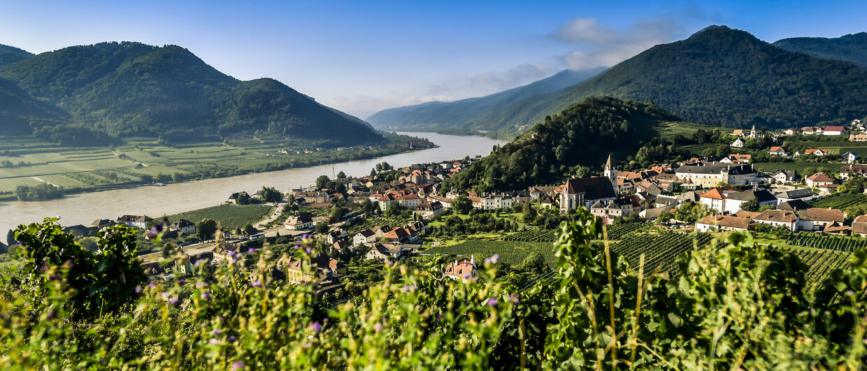 Geschichtsträchtiges Flusstal: Die Wachau in Niederösterreich