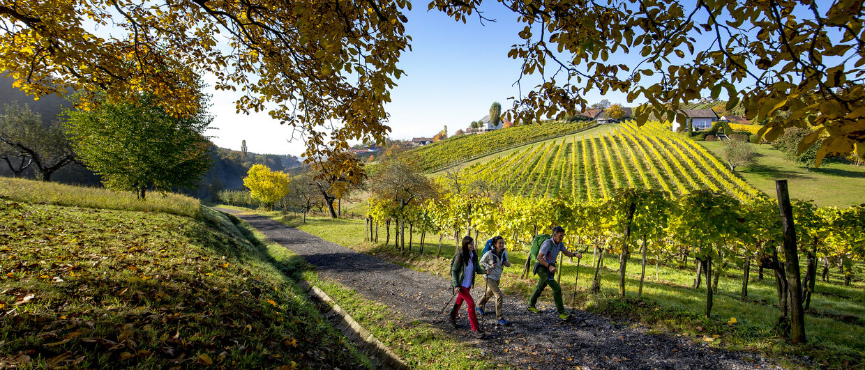 Steiermark Tourismus/ikarus.cc