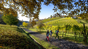 Steiermark Tourismus/ikarus.cc