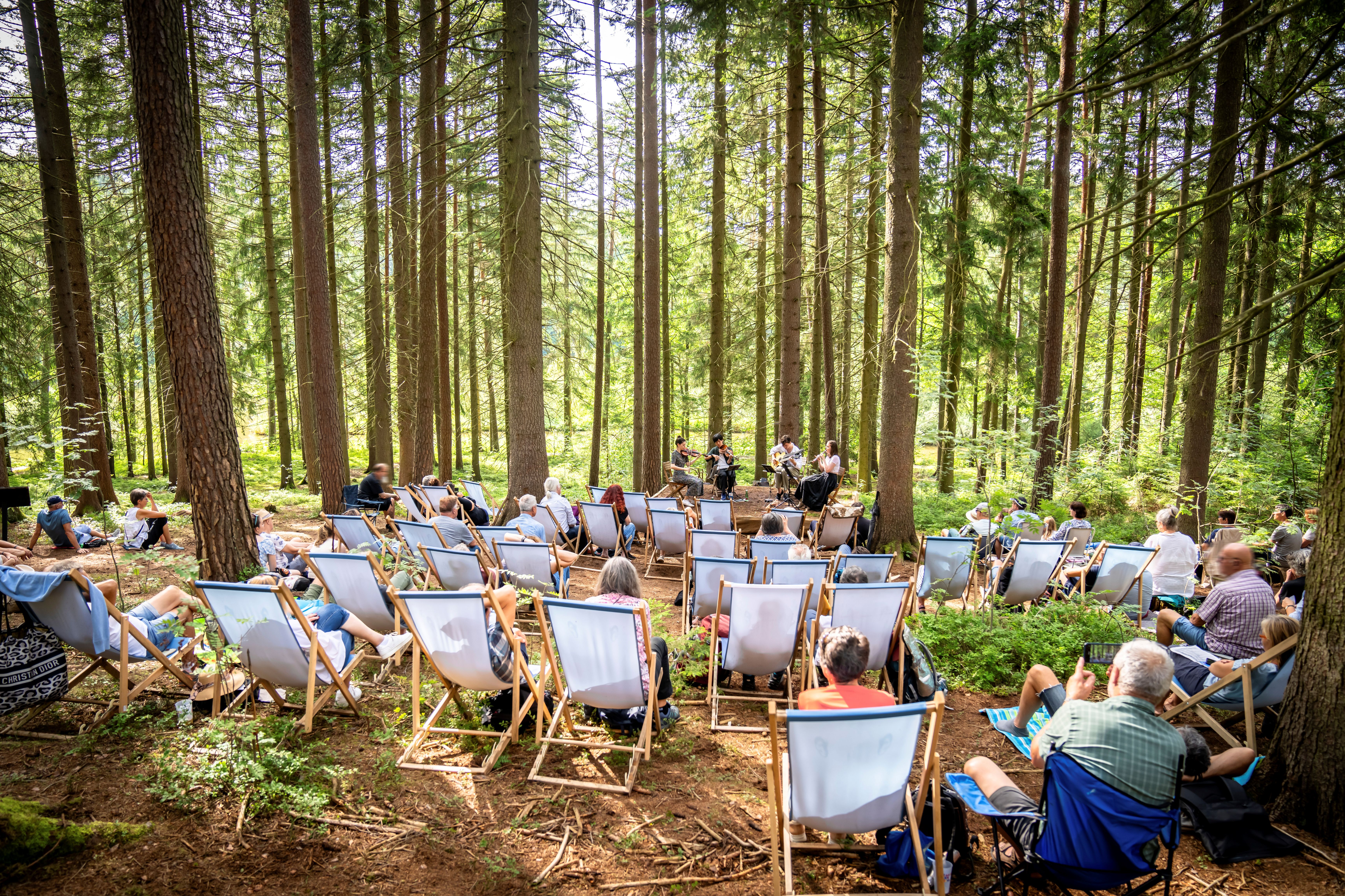 Schrammelklang Festival im Waldviertel